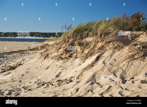 Cape Cod Beach 的图像结果