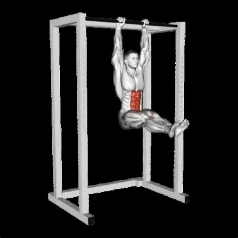 Hanging Knee Raise: Guide, Muscles Worked, Tips | Athlemove