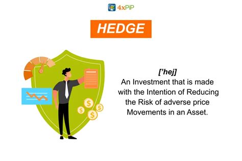 Hedging Example 的图像结果