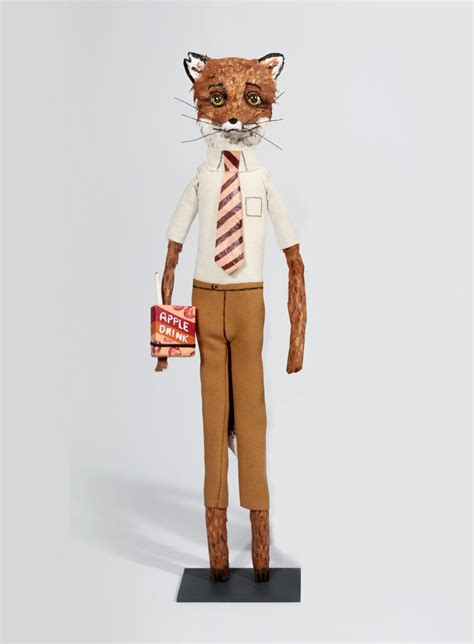 Fantastic Mr Fox Ash Costume