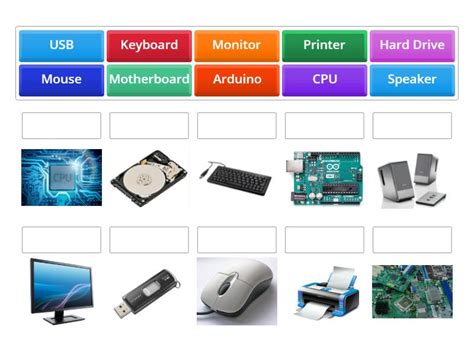 Image result for Computer Hardware Activity
