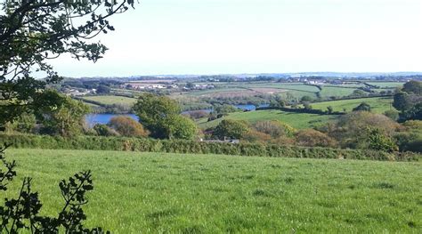 HONEY BUZZARD BARN (Falmouth, Cornwall) - Guesthouse Reviews & Photos ...