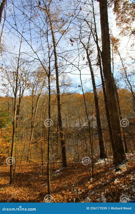 View of Hemlock Cliffs in Autumn after a Light Snow, Indiana Stock ...