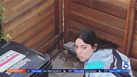Amazon driver poops, pees in front of at least two L.A. homes on Mother ...