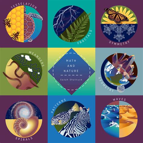 Image result for Math Nature