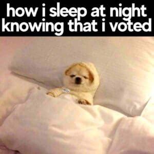 Vote Memes Clip Art 的图像结果