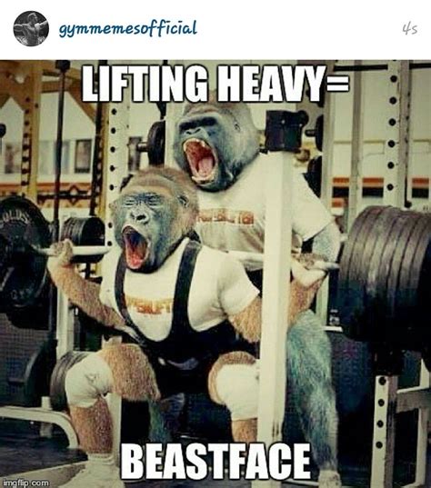 GYM Memes : Photo | Workout humor, Gym humor, Funny gym pictures