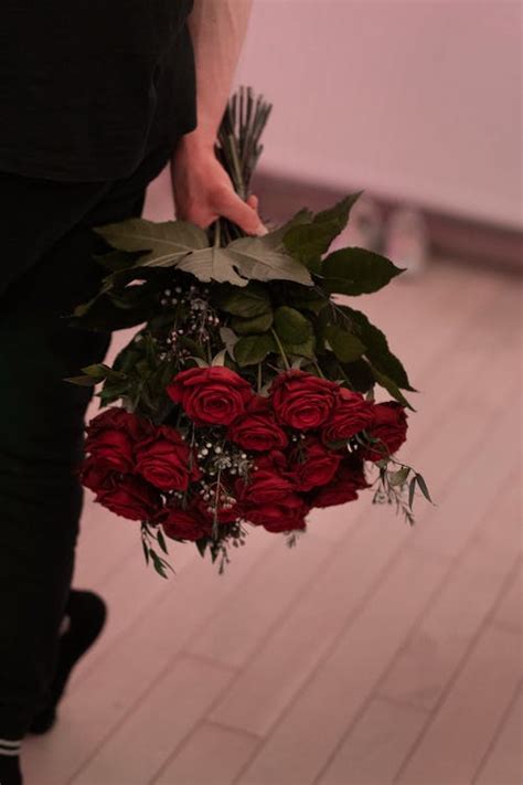 A Person Holding a Bouquet of Red Roses · Free Stock Photo