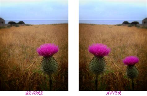 Multimedia Design Class 的图像结果