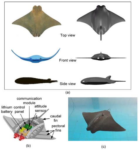 Similarity Evaluation Rule and Motion Posture Optimization for a Manta ...