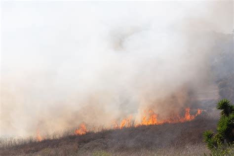 Crews gain control of brush fire in Rancho Palos Verdes near college ...
