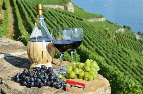 Top 30 must visit wineries in Italy