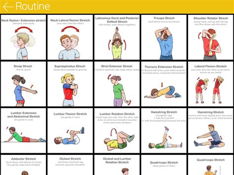Stretching Exercise Chart 的图像结果