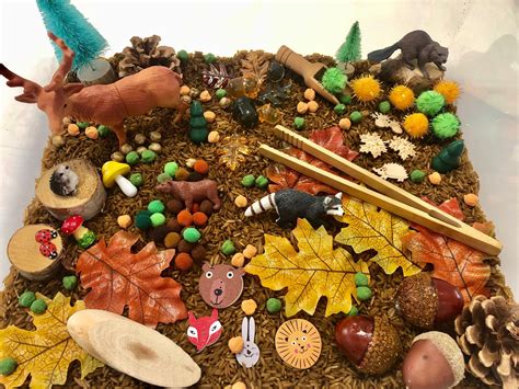Sensory Kit/fall Sensory Bin/hibernation Animals/forest Animals/sensory ...