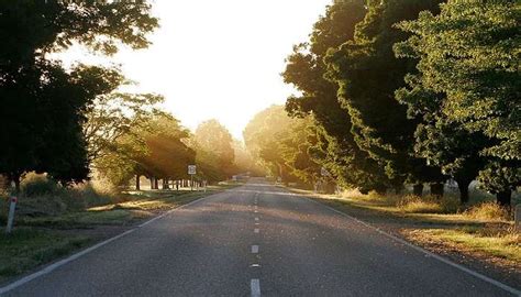 Kinnerasani Wildlife Sanctuary Is A Haven For Nature Lovers In 2026