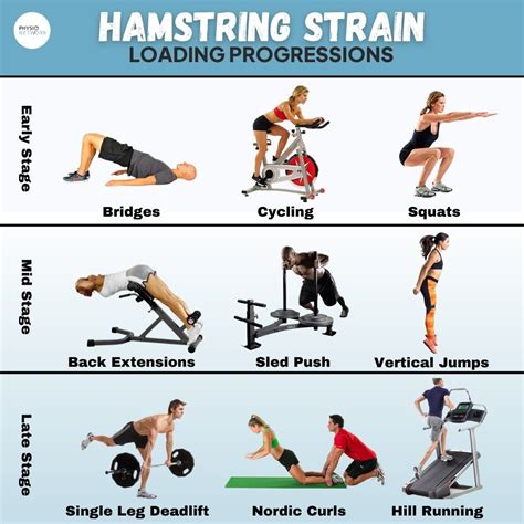 Physio Network auf LinkedIn: 🏋️‍♂️ Hamstring strain: loading ...