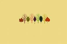 Thanksgiving Wallpaper Aesthetic by Fundrill Freebie Fall Desktop Wallpaper Thanksgiving Wallpaper Aesthetic