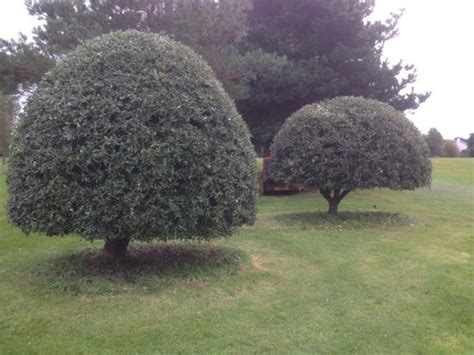 St. Clement Photos - Featured Images of St. Clement, Jersey - Tripadvisor