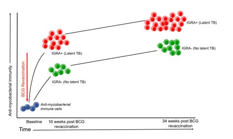 Indian Institute of Science