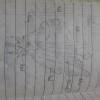 Draw the structure of a flower and lable it's parts .give the functions ...