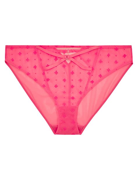 Buy Embroidered Mesh High Leg Knickers at Marks & Spencer