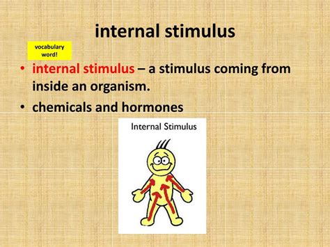 PPT - Homeostasis and Behavior PowerPoint Presentation, free download ...