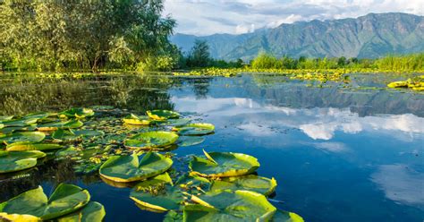 Best Places For Foreigners To Visit In North India