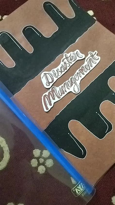 Image result for Disaster Management Project