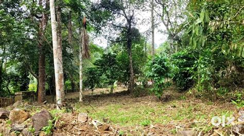 2 acres of land in ranni ,not flood affected area. - Lands & Plots ...