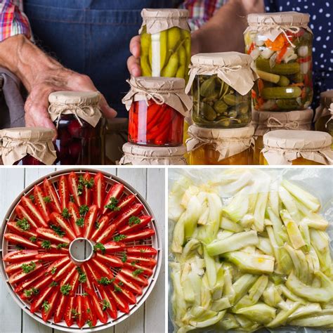 Some Advantages and Disadvantages of Food Preservation - GardensAll