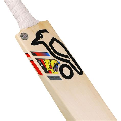 Glenn Maxwell Beast Cricket Bat in India | Power Hitter’s Choice ...