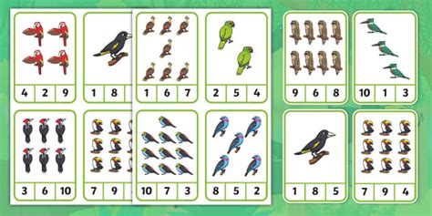 👉 Jungle Birds Peg Counting (teacher made) - Twinkl