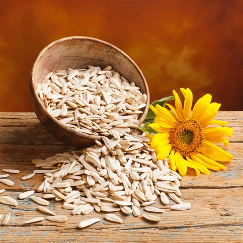Buy Sunflower Seeds – Healthy Snack for Energy & Immunity