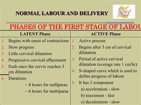 Normal labour and delivery | PPSX