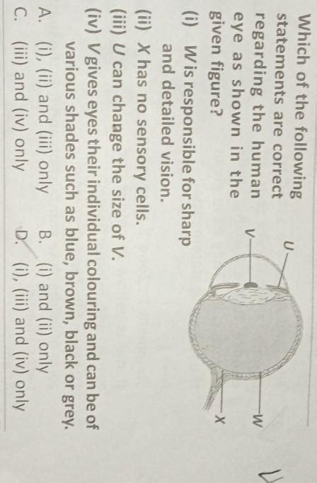 Which of the following U- statements are correct И W regarding the ...