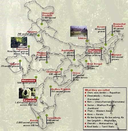Protection and Conservation of Sacred Groves in India