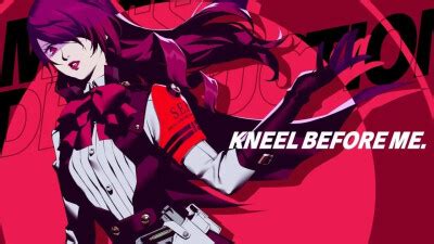 ppR3 Vector 的图像结果