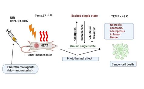 Fig. 1: Mechanism of photo thermal therapy (PTT) [70]