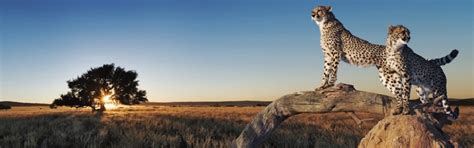 Best WordPress Speed Plugin for Speeding Up Your Website