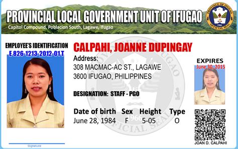 Identification 的图像结果