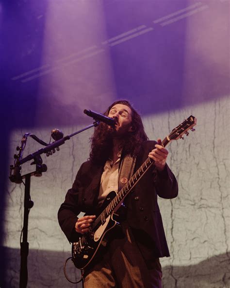 LIVE REVIEW - Hozier, Unreal Unearth Tour - SwitchBitch Noise