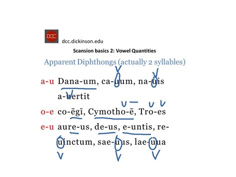 Image result for Latintutorial Scanscion