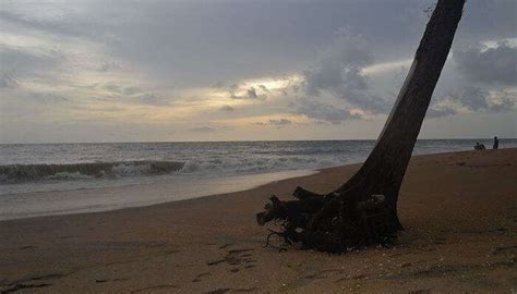 Beaches Near Thrissur: Find the Nearest & Best Beach for perfect vacation