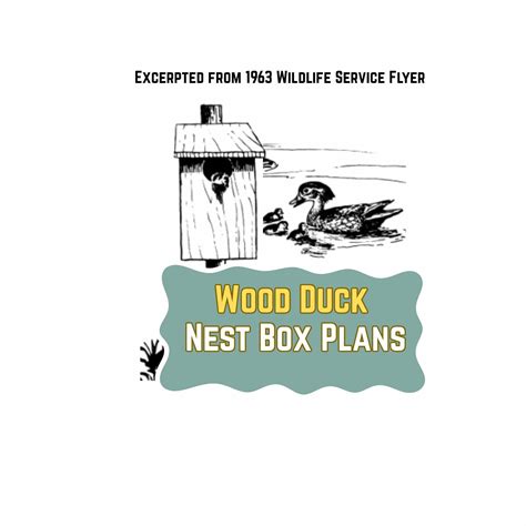 Wood Duck Nest Box Plans (PDF, 2 Plans, Instructions, Diagrams, Materials) - Etsy
