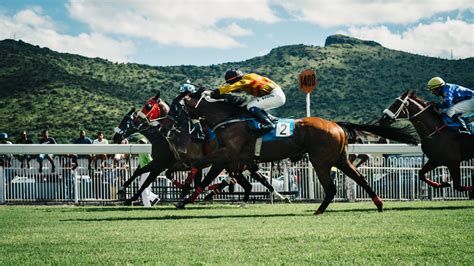 Free Images : jockey, race track, equestrianism, horse racing, eventing ...