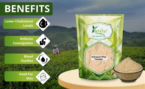 Buy YUVIKA Indrayan Phal Powder - Kodtumbe - Kodtumba - Tumba ...