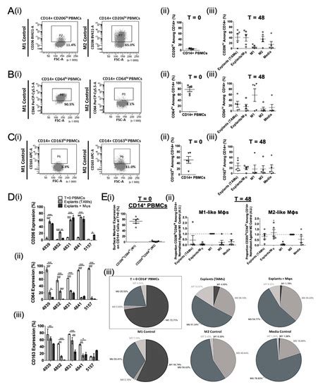 Biomedicines | Special Issue : Targeting Myeloid Cells to Shape Tumor