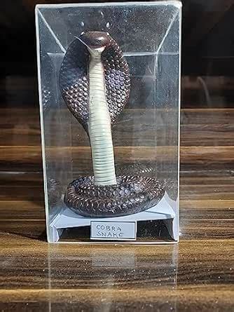 Cobra Snake Model, POP Model : Amazon.in: Toys & Games