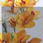 Buy Fabric Laminated Glass & Golden Glass | Prism Glass