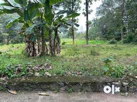 Lands & Plots for sale in Adoor | OLX